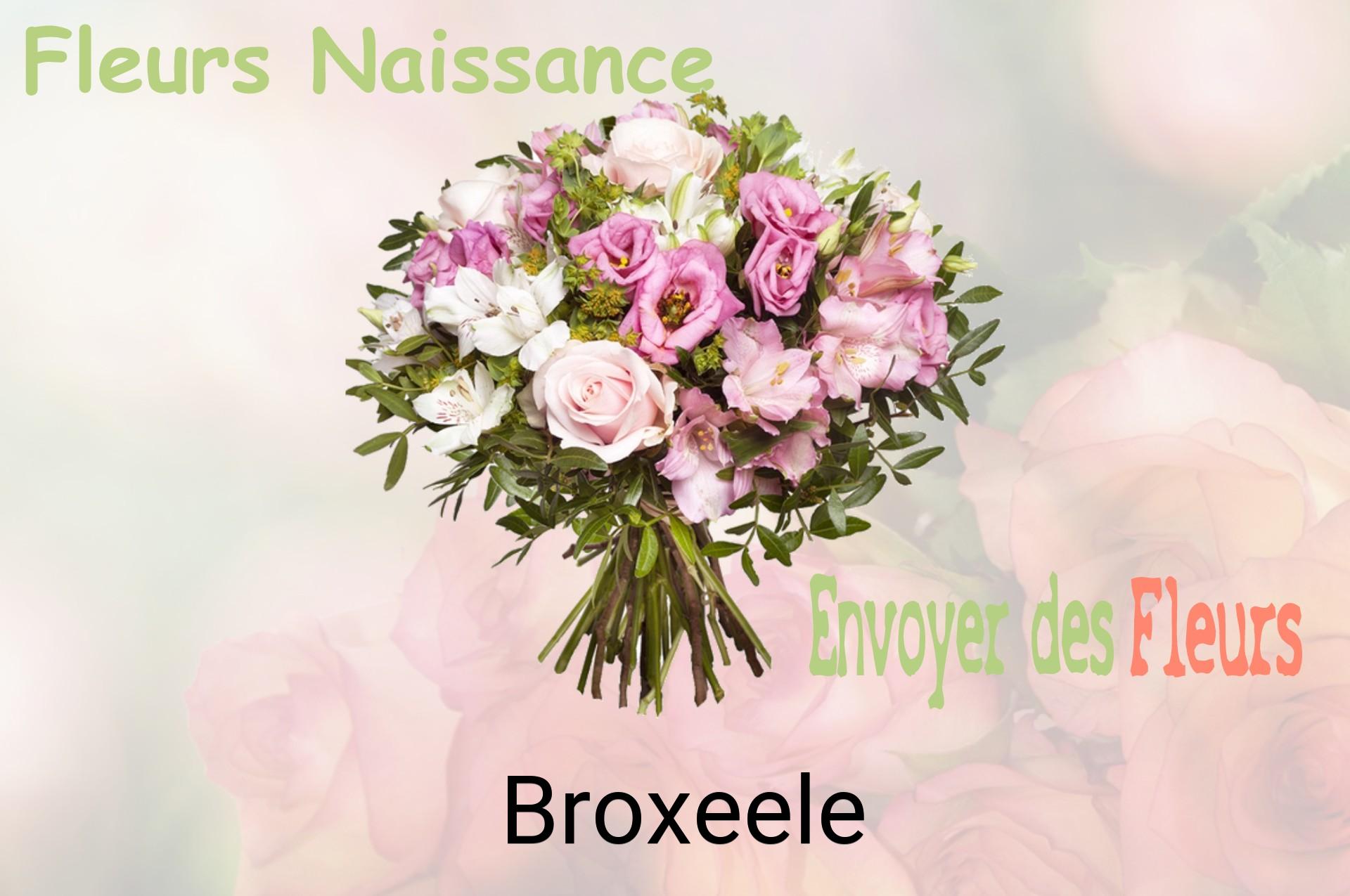 Bouquet de fleurs de naissance livré à Broxeele