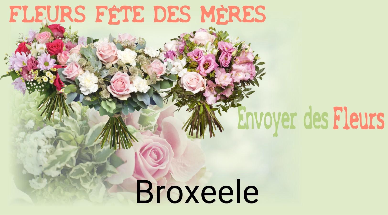 Bouquet de Fête des Mères livré à Broxeele
